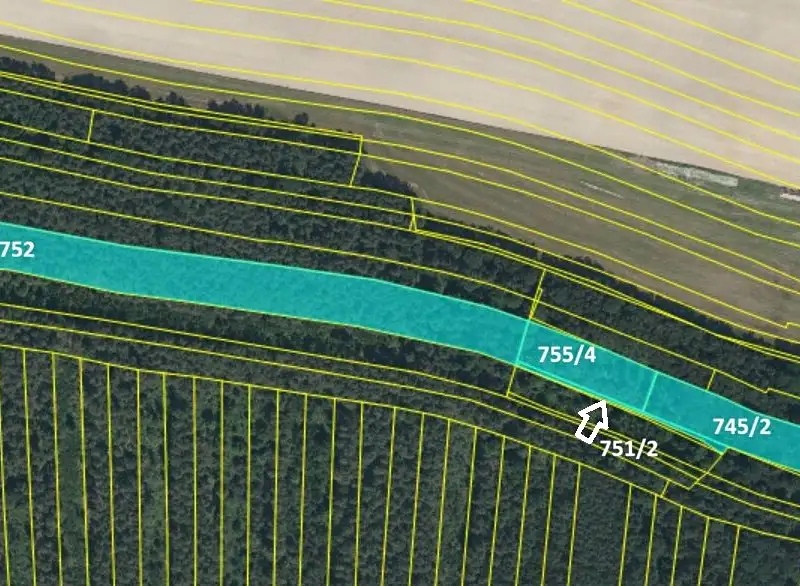 Prodej lesa 18959 m², Jílovice – náhled fotky 2