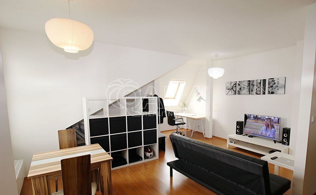 Pronájem bytu 1+kk 42 m²