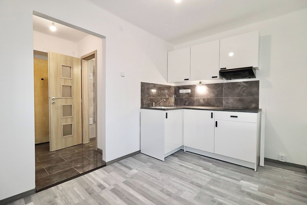 Prodej bytu 1+1 30 m²