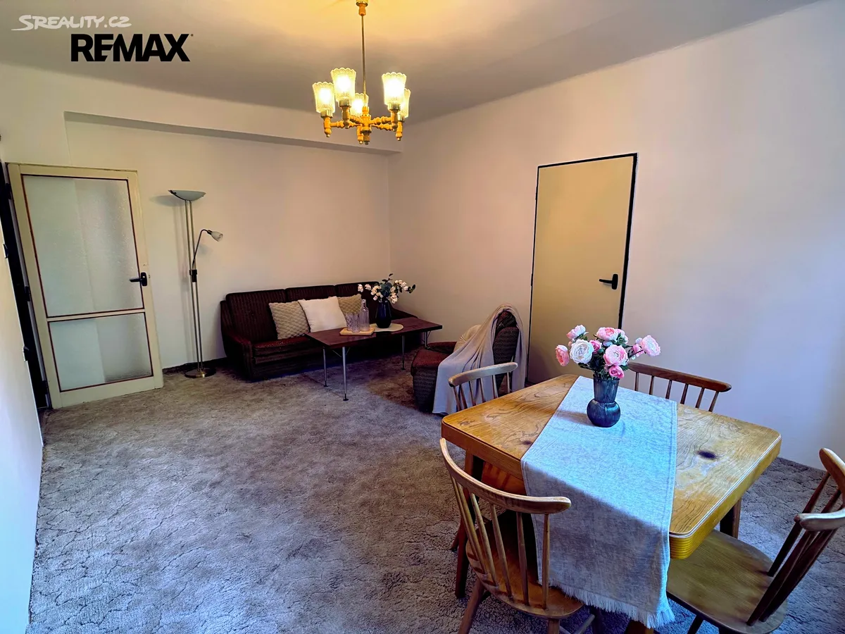 Prodej bytu 3+1 60 m² - Widok 6
