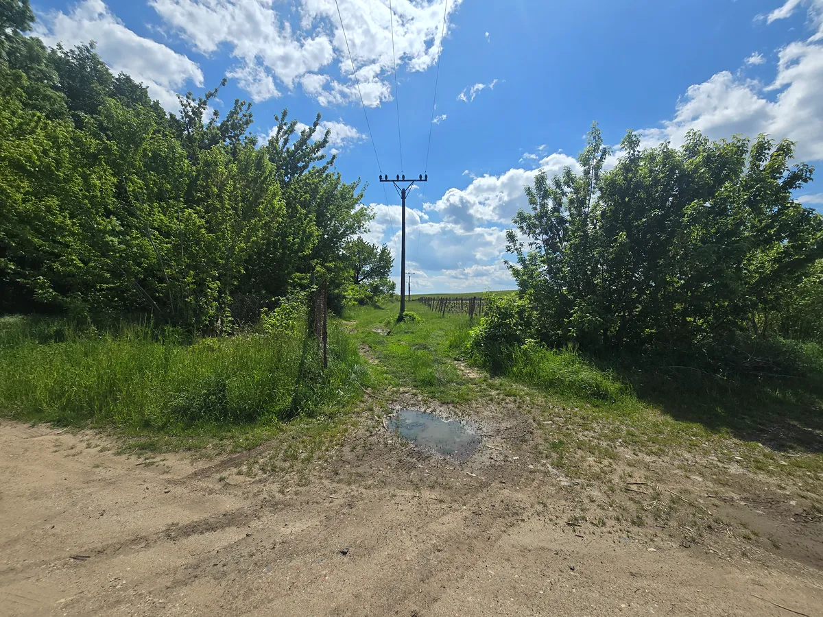 Fotka 6 z 19