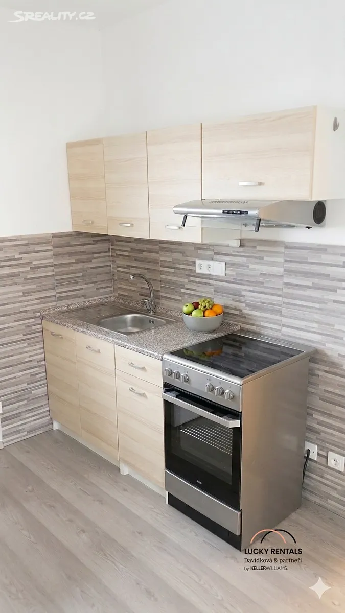 Pronájem bytu 1+kk 34 m² - Widok 6