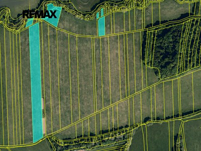 Prodej podílu 1/3  pole 7 286 m²