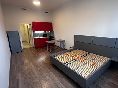 Pronájem bytu 1+kk 39 m²
