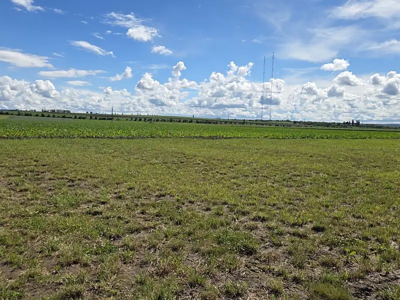 Prodej stavebního pozemku 1140 m², Klučov – náhled fotky 3