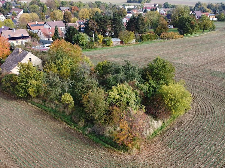 Prodej domu, 100 m² (9 z 11)