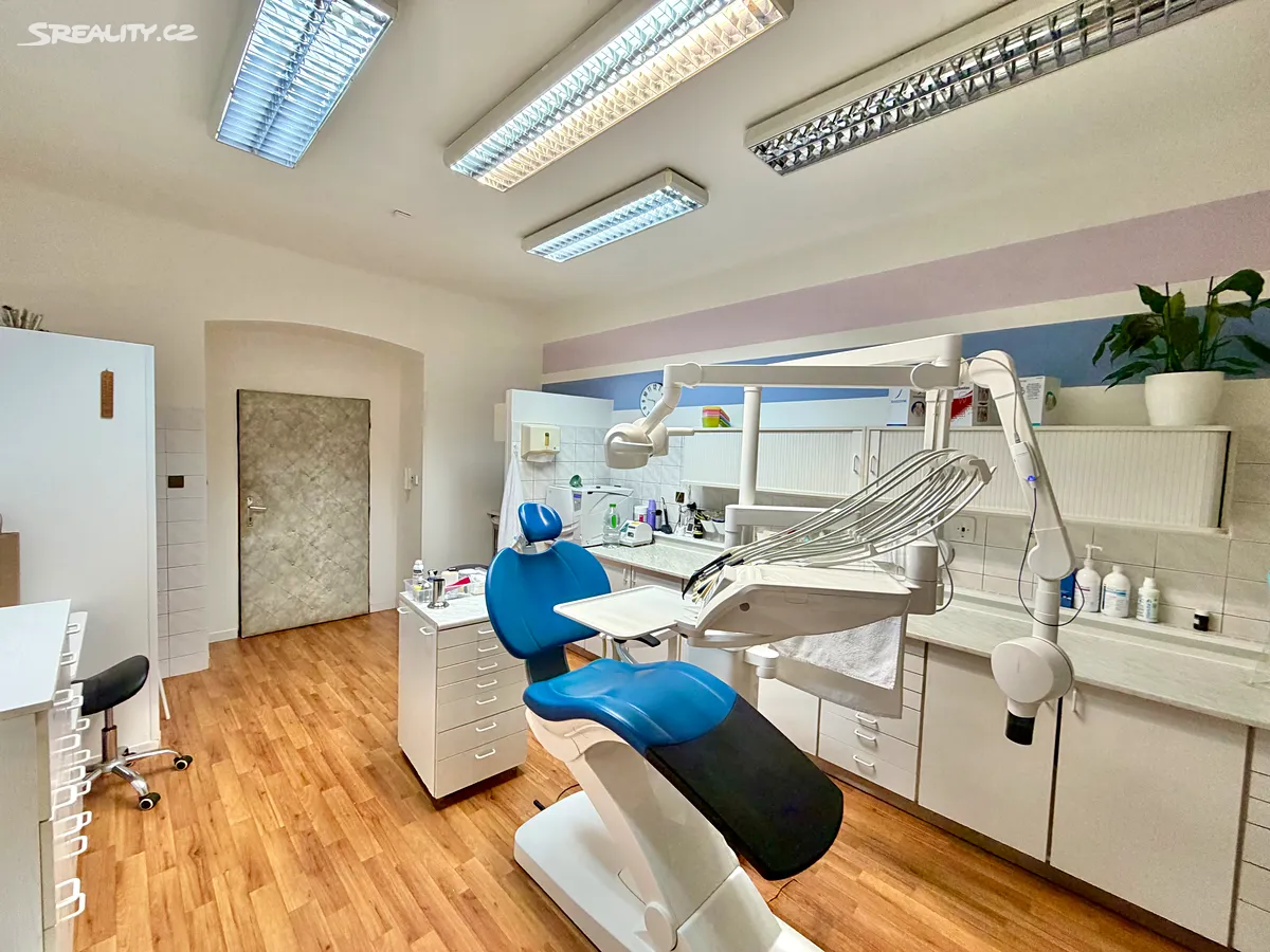 Pronájem činžovního domu 50 m², Plzeň