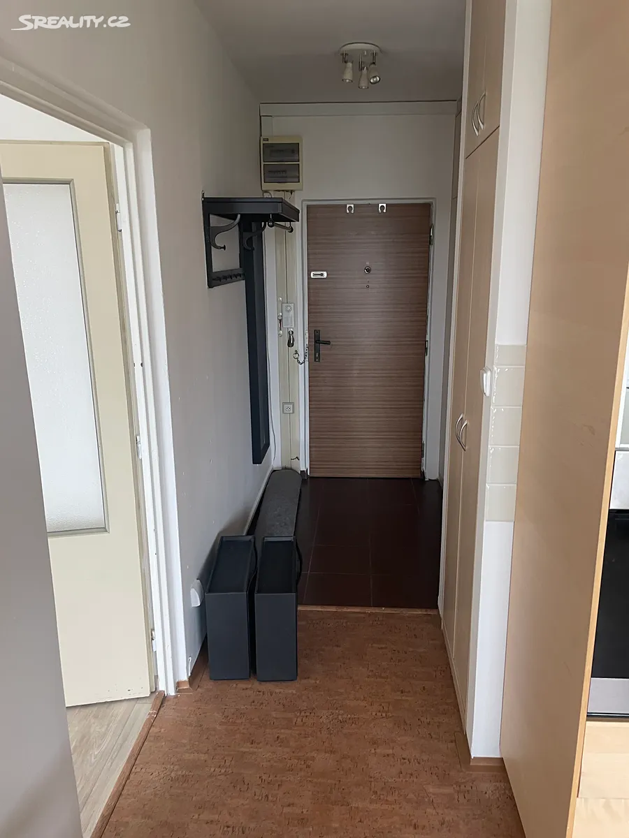 Pronájem bytu 1+1 45 m² – pohled 3