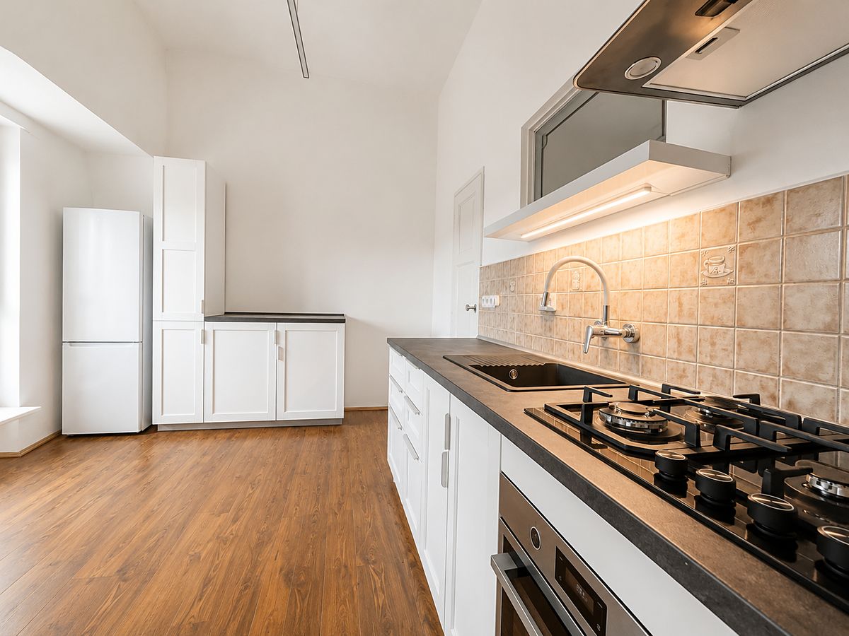 Pronájem bytu 1+1 45 m²