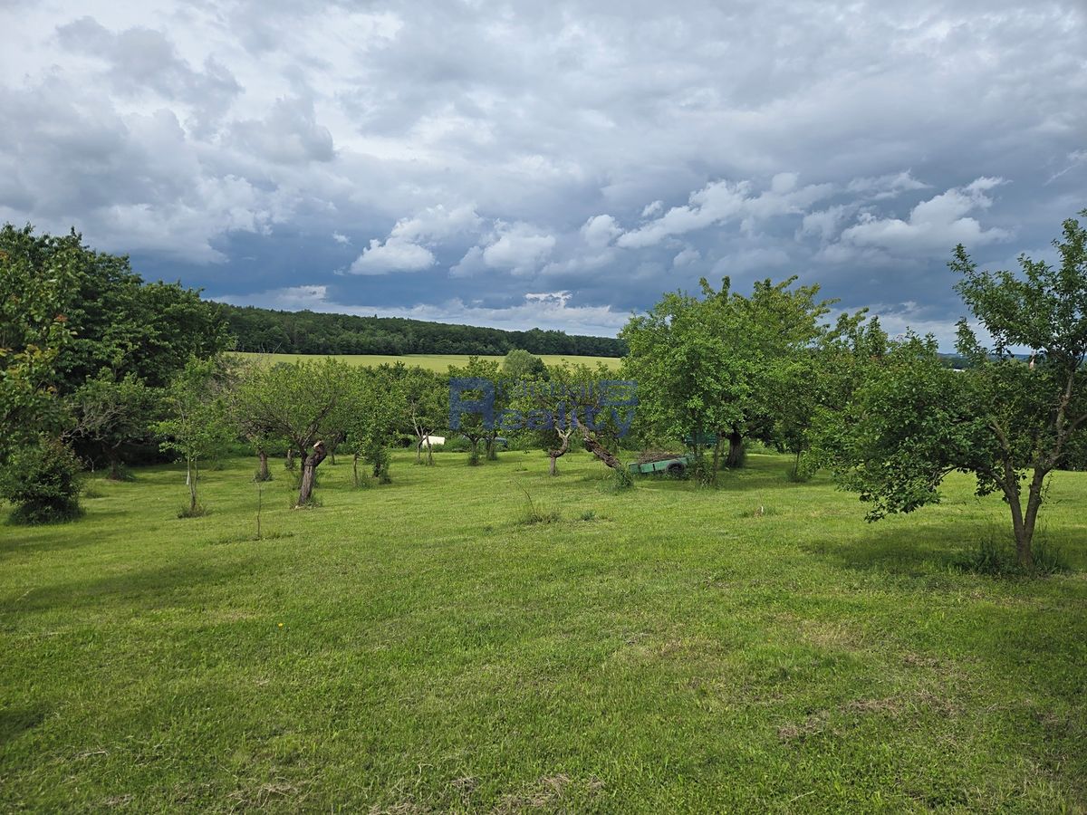 Pronájem zahrady 3673 m² – fotografie 4