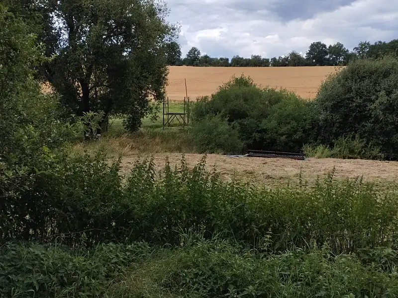 Pronájem louky 3000 m², Líšťany – náhled fotky 3