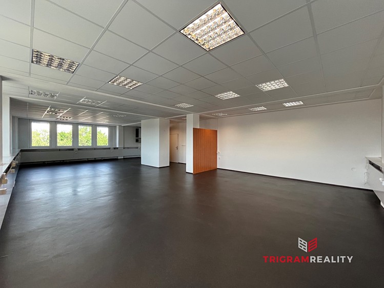 Pronájem komerčního prostoru, 113 m² (1 z 10)