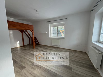 Pronájem bytu 1+1 40 m²