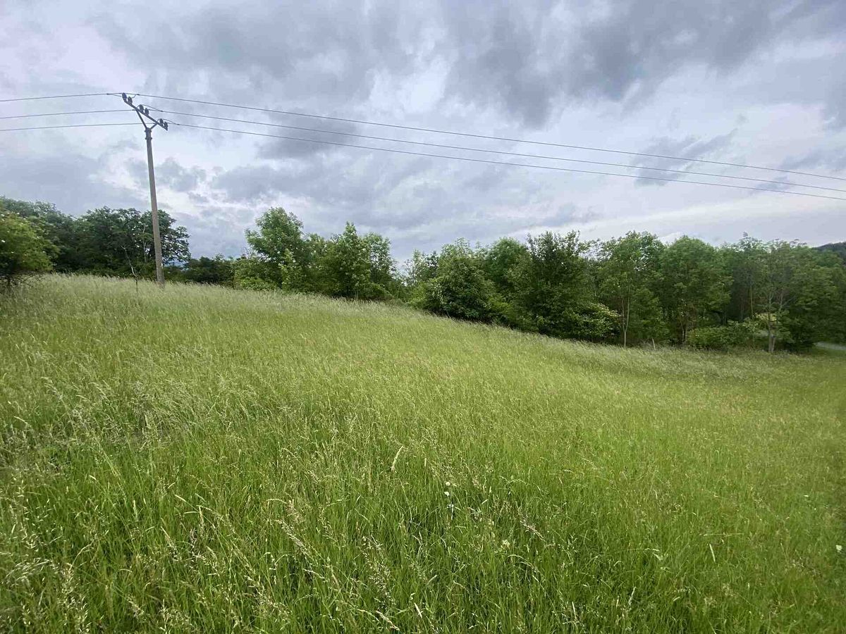Prodej pole 12772 m² – fotografie 4