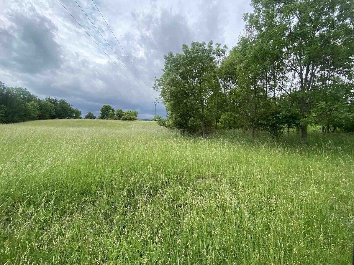 Prodej pole 12772 m²
