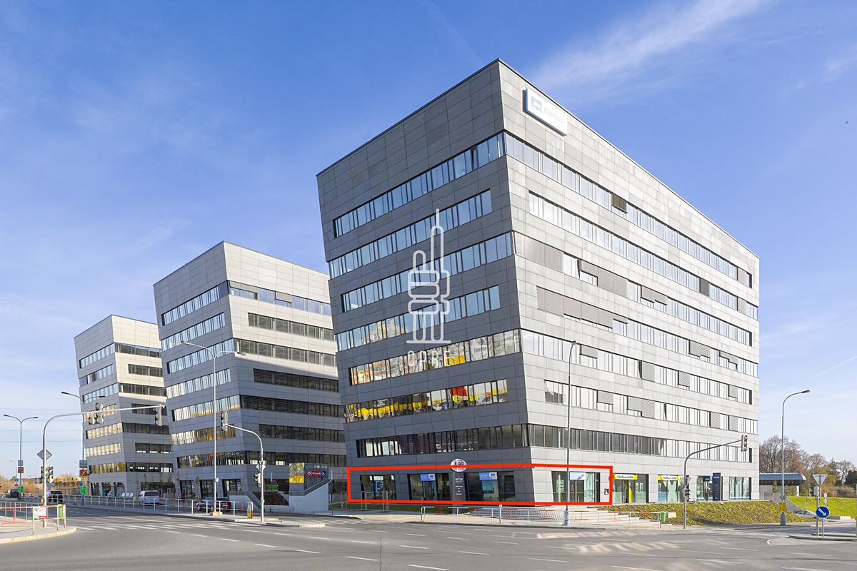 Pronájem kanceláře 259 m²
