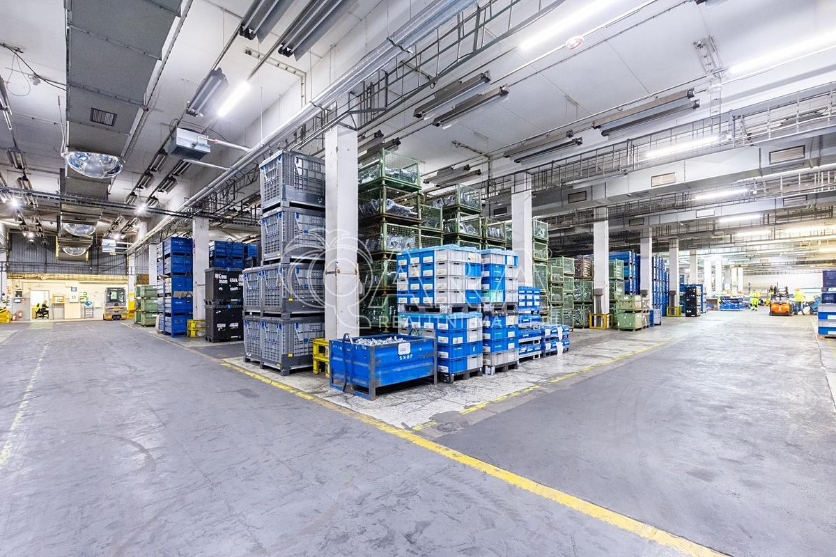 Pronájem výrobní haly, prostoru 3025 m²