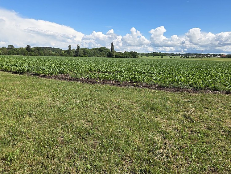 Ділянка на продаж, 1 140 м² (4 з 11)