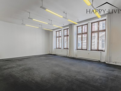 Pronájem komerčního prostoru, 138 m² (3 z 24)