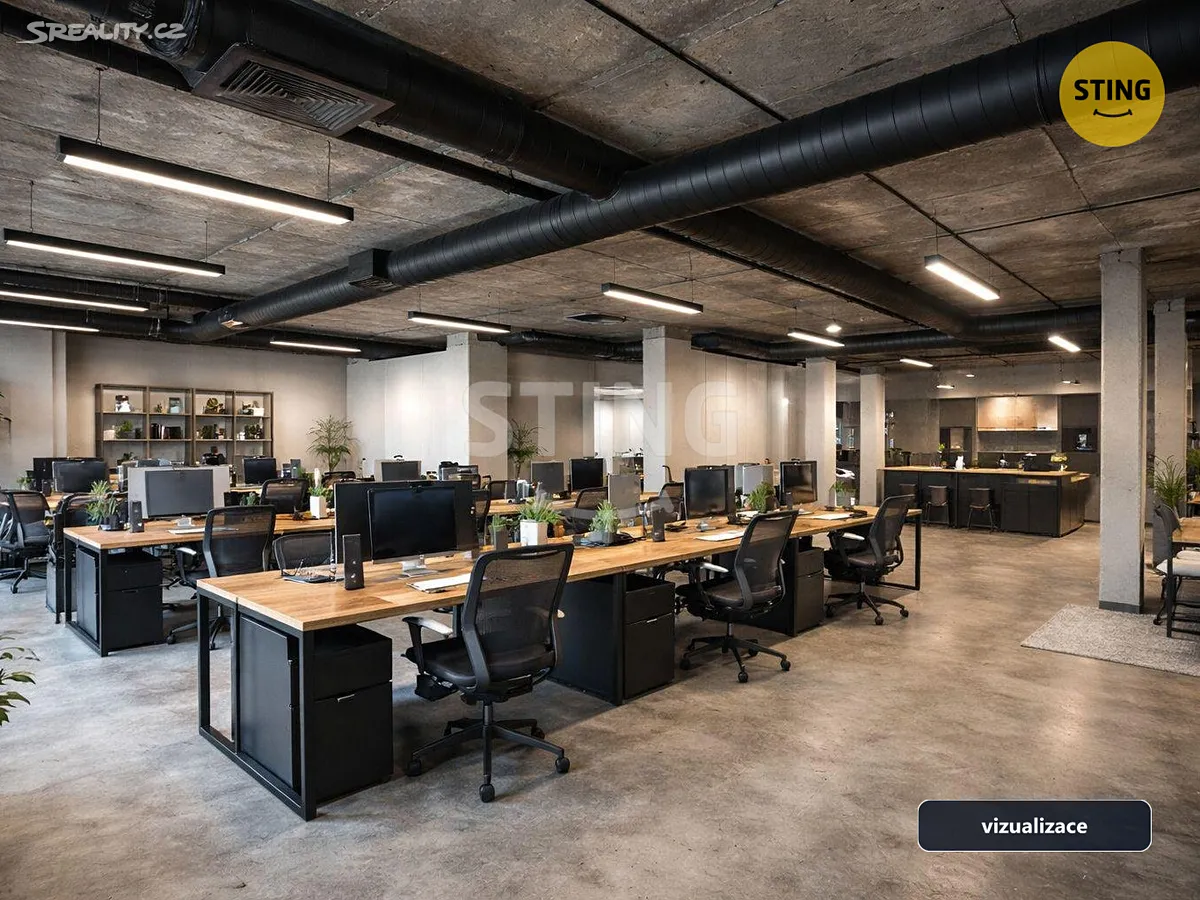 Pronájem obchodního prostoru 220 m² – pohled 2