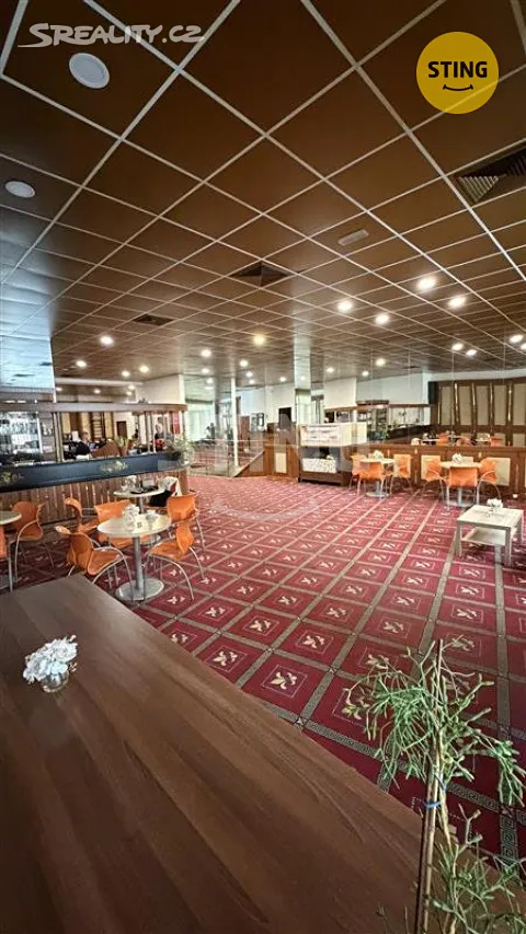 Pronájem obchodního prostoru 220 m² – pohled 5