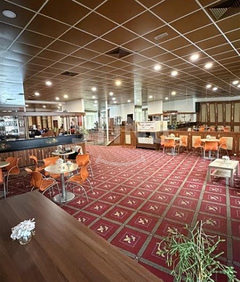 Gewerbefläche zur Miete, 220 m² (5 von 8)