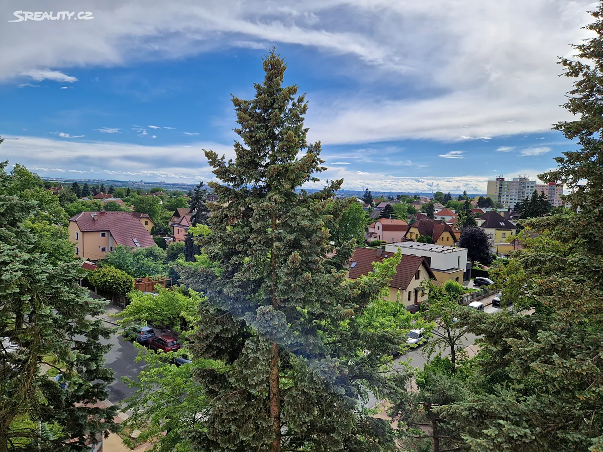 Pronájem bytu 2+1 60 m² – další