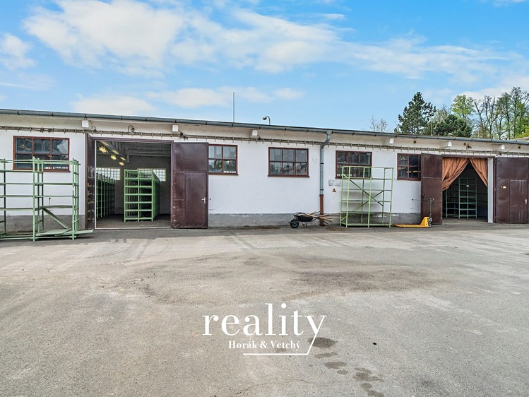 Комерційне приміщення в оренду, 180 м² (11 з 27)