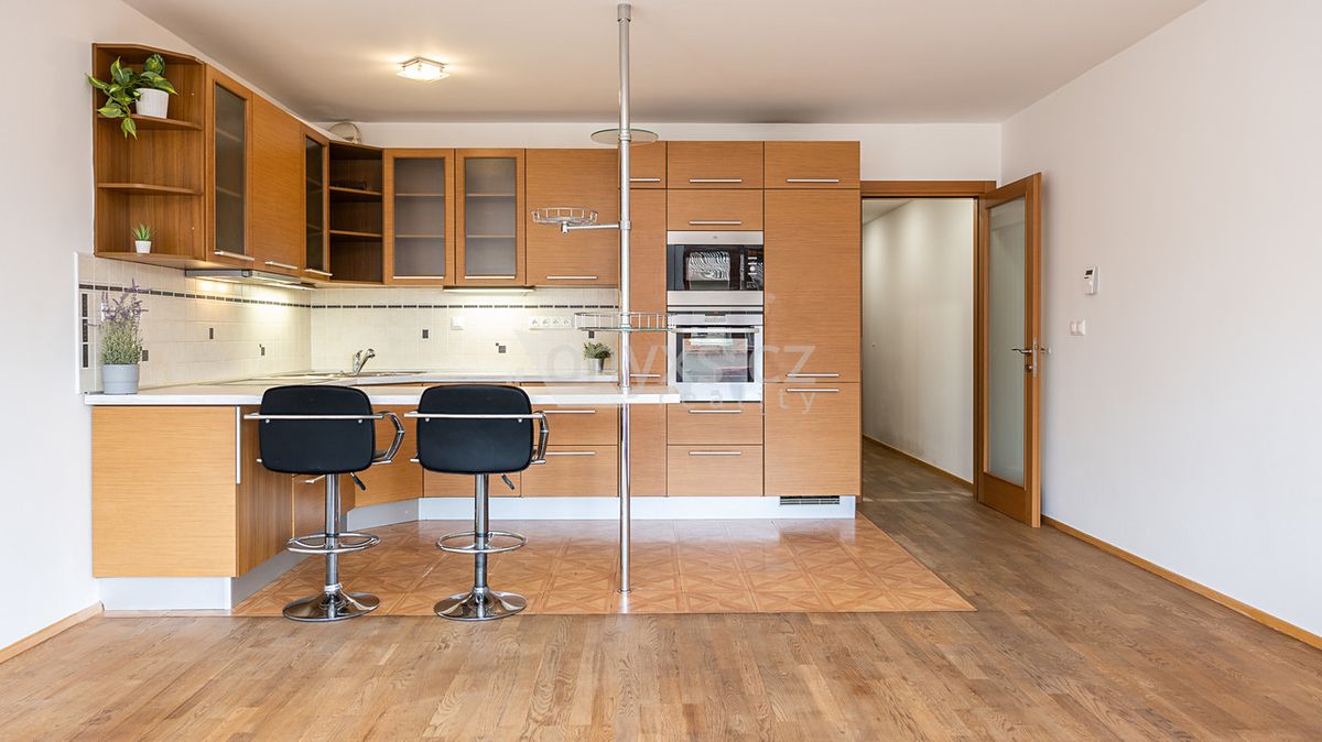 Pronájem bytu 1+kk 45 m²