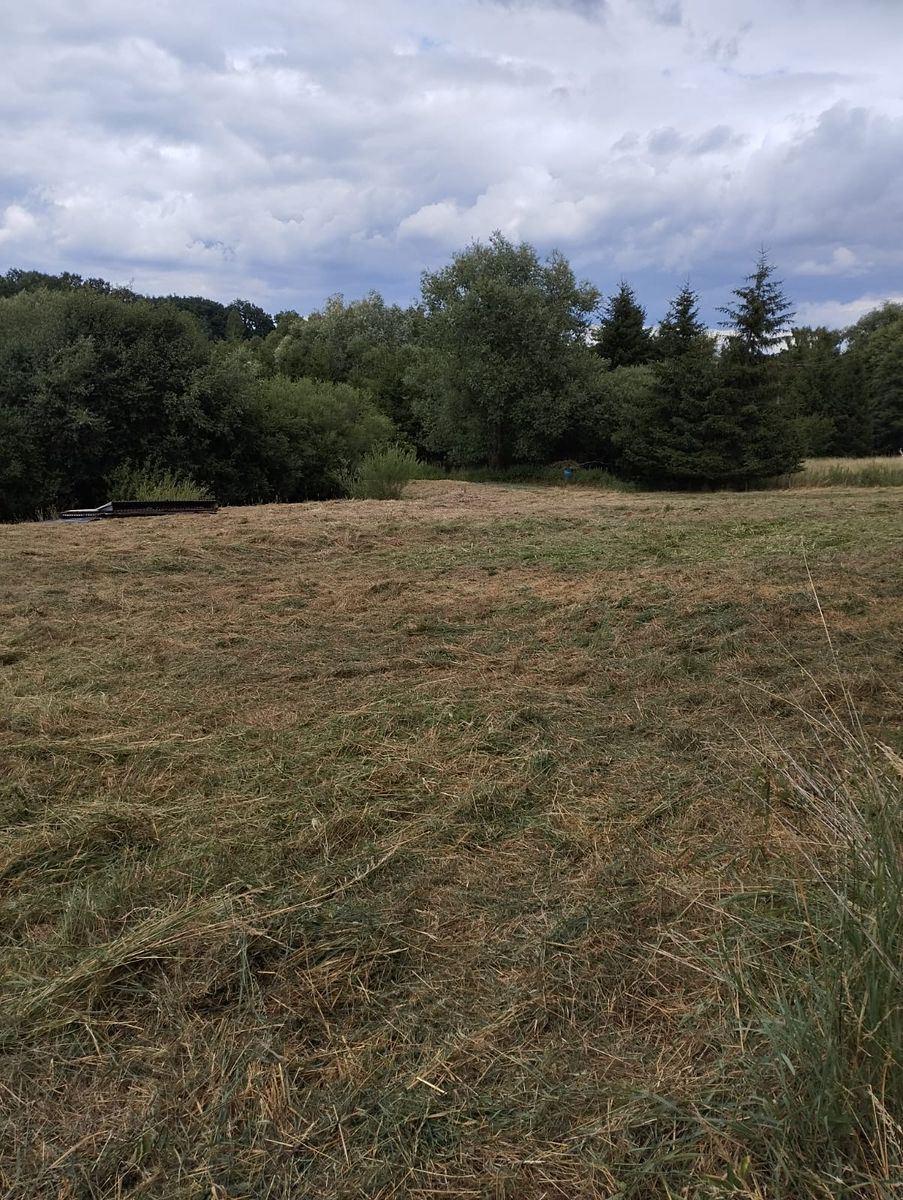 Pronájem louky 3000 m² – fotografie 4