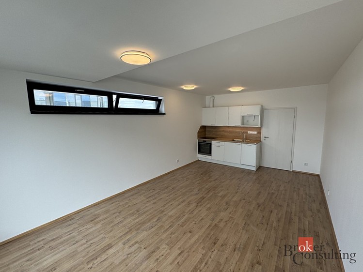 Prodej bytu 1+kk, 46 m² (6 z 12)