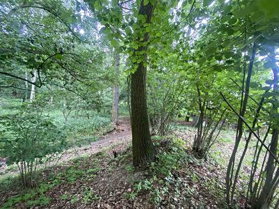 Prodej pozemku 576 m²