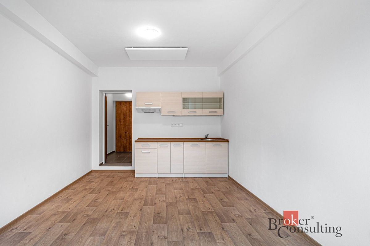 Pronájem bytu 1+kk 24 m² – fotografie 4