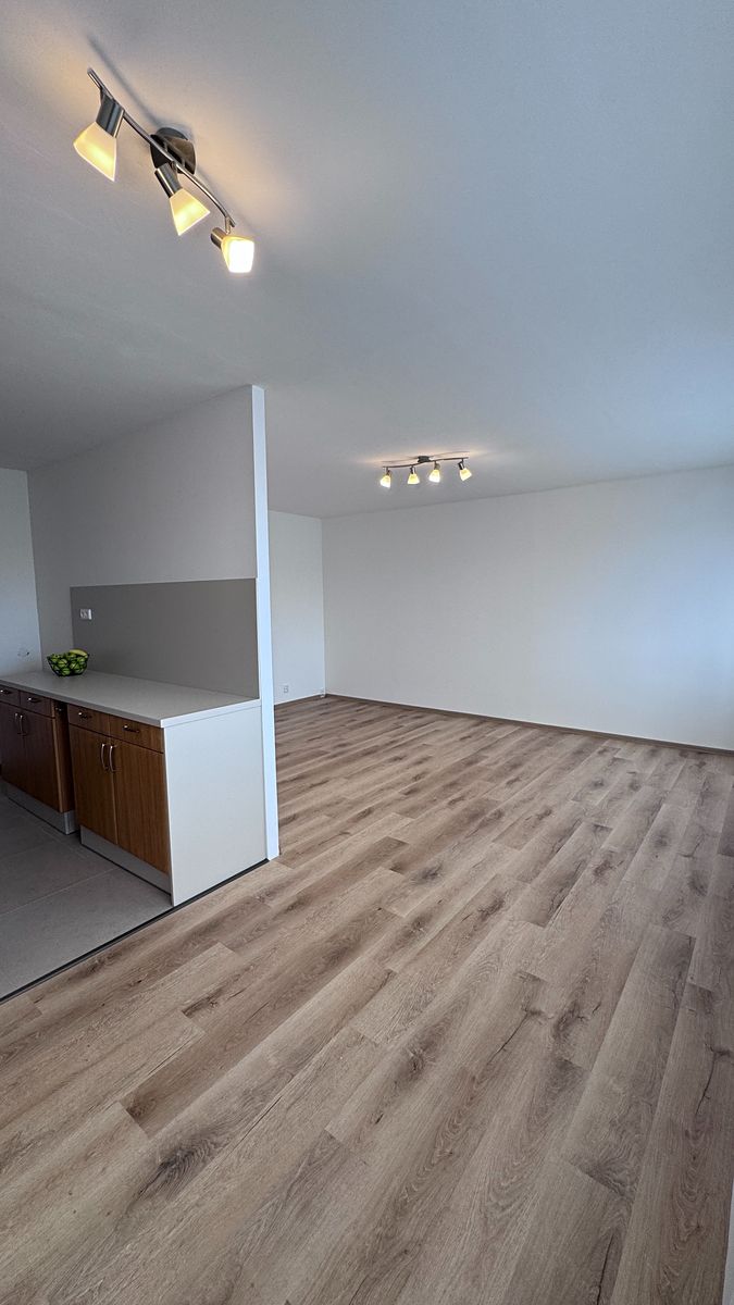 Pronájem bytu 3+1 74 m²