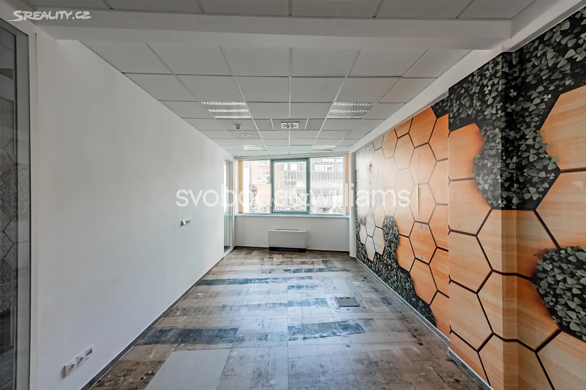 Pronájem kanceláře 883 m² - Widok 5