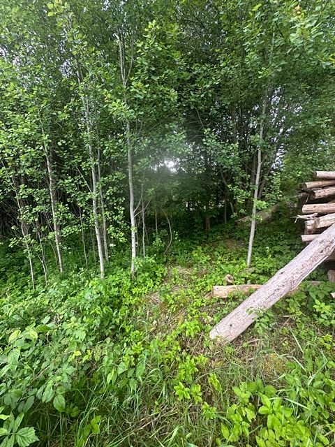 Prodej stavebního pozemku 389 m², Ktiš – fotka 1 z 3