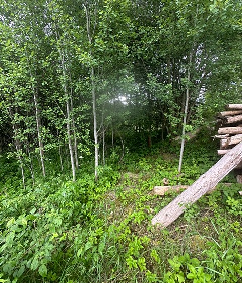 Grundstück zum Kauf, 389 m² (1 von 9)