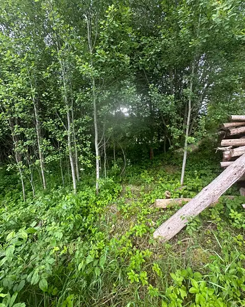 Prodej stavebního pozemku 389 m², Ktiš – náhled fotky 1