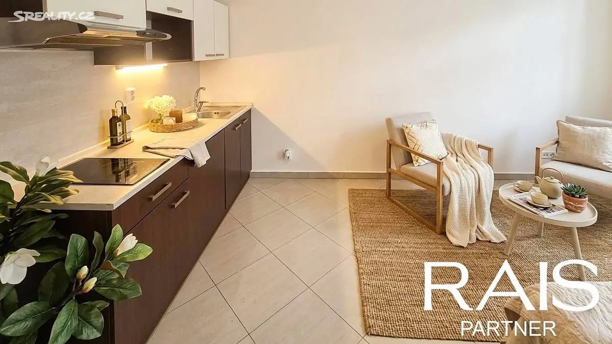 Prodej bytu 1+kk 30 m², Brno