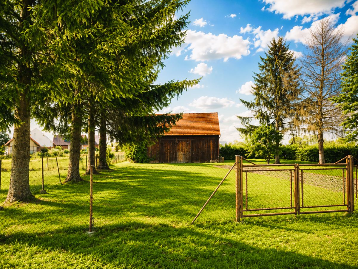 Prodej stavebního pozemku 1365 m² – fotografie 3