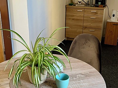 Gewerbefläche zur Miete, 34 m² (3 von 5)