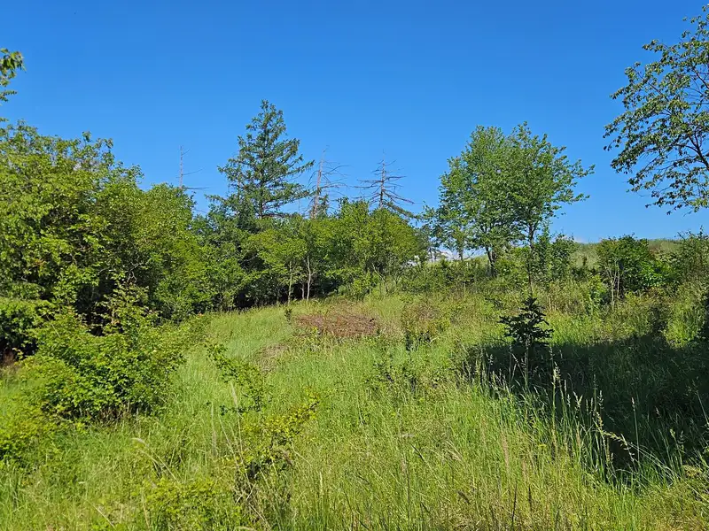 Prodej stavebního pozemku 1845 m², Letovice – náhled fotky 1