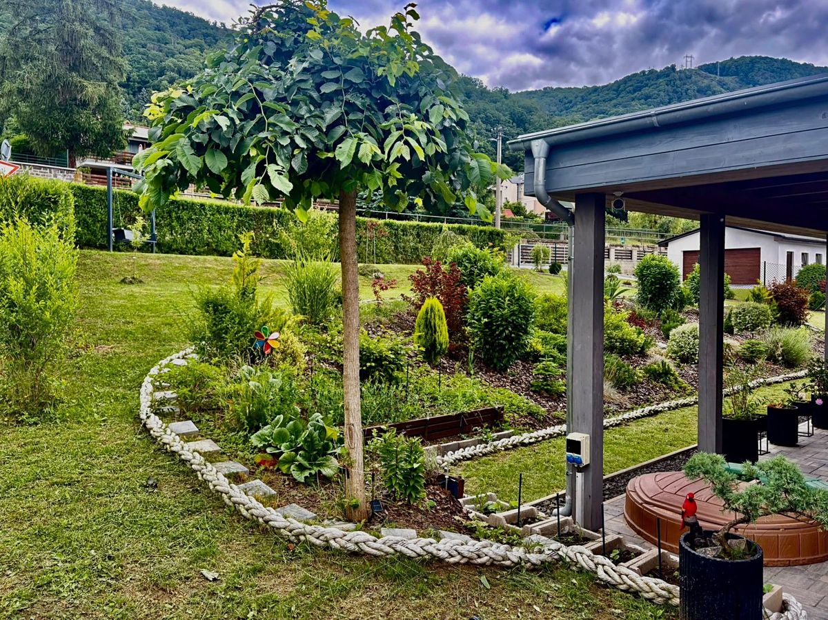 Prodej rodinného domu 250 m², pozemek 1007 m² – fotografie 4