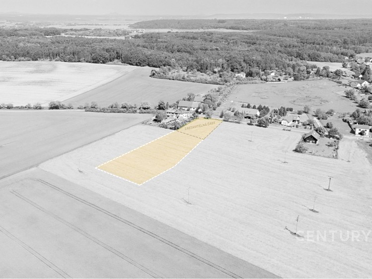 Prodej pozemku, 5 553 m² (8 z 42)
