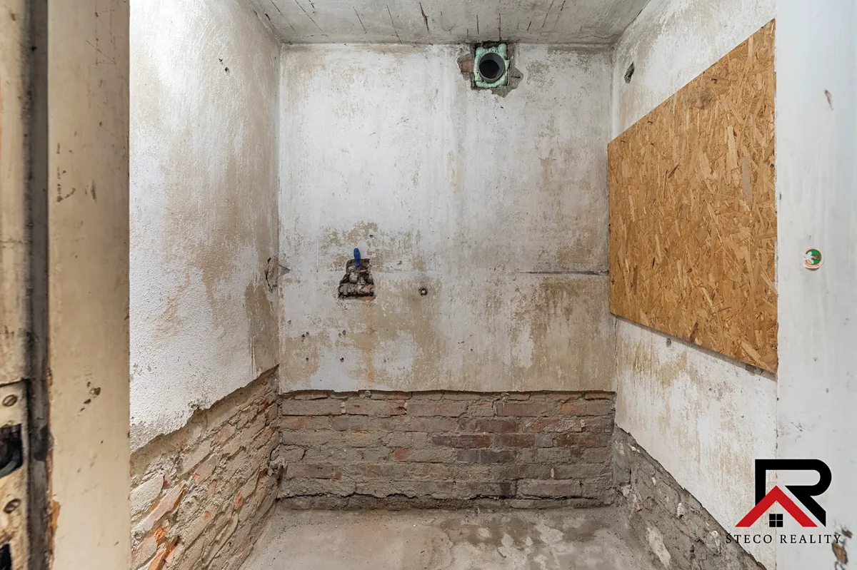 Fotka 21 z 26