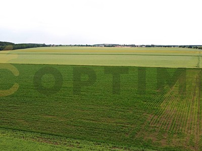 Prodej podílu 3/4  pole 24 693 m²