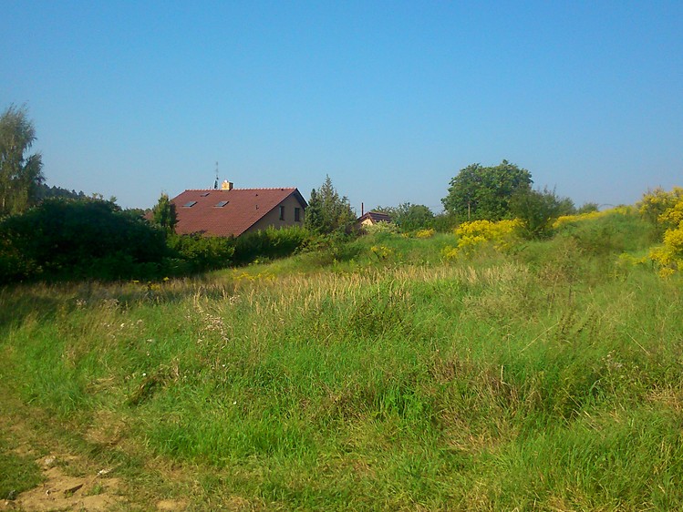 Ostatní