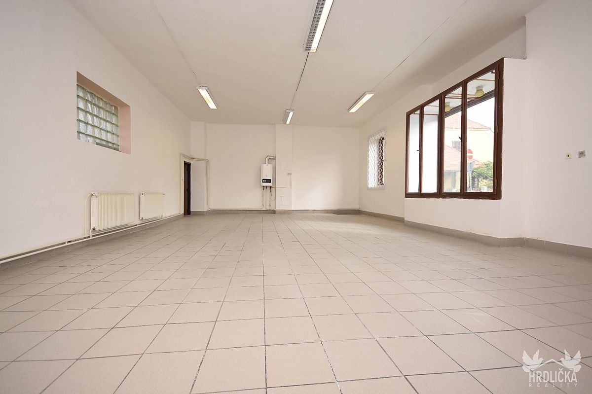 Prodej rodinného domu 173 m², pozemek 173 m² – fotografie 3