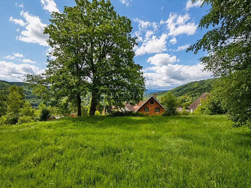 Prodej stavebního pozemku 420 m², Oloví – náhled fotky 1