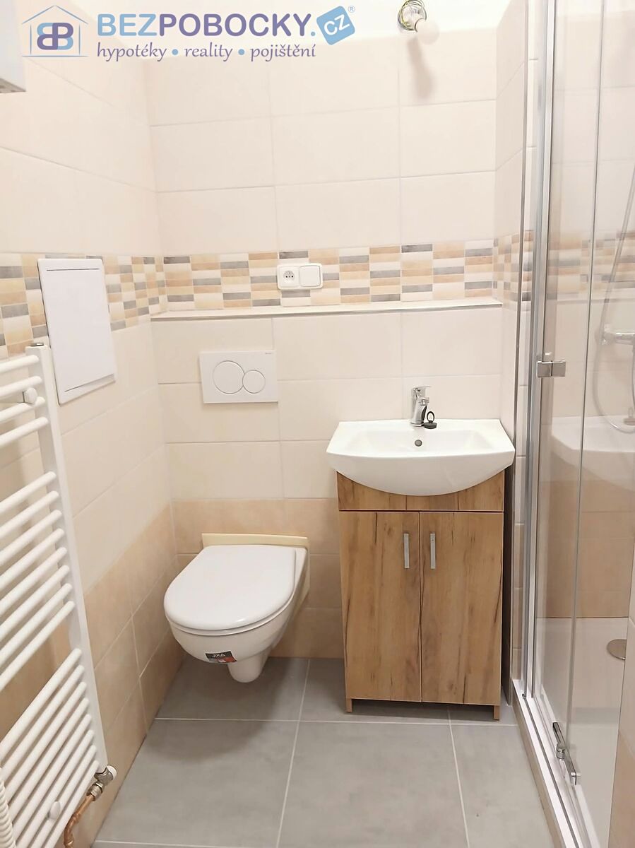 Pronájem bytu 1+1 40 m² – fotografie 3